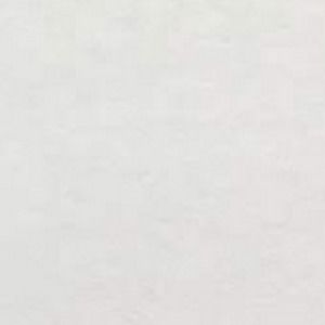 Meet your Posher, Kyler